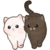 Gatitos❥☯︎ͫ4🇲🇽Clásica 5