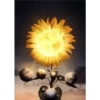 Sunflowers🌻❥☯︎ͫ4🇲🇽Clásica 6