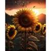 Sunflowers🌻❥☯︎ͫ5🇲🇽Clásica 6