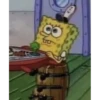 Spongebob v3 Spongbobber 7
