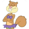 Arenita 5