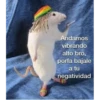 STLY
Andamos
vibrando
alto bro,
porfa bajale
a tu
negatividad