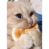 Cats 3 14