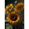 Sunflowers🌻❥☯︎ͫ4🇲🇽Clásica 9