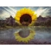 Sunflowers🌻❥☯︎ͫ5🇲🇽Clásica 12