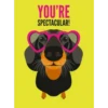 YOU'RE
SPECTACULAR!