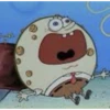 Spongebob v4 spingelbub 12