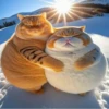 Gatito selfie viajero֍1🇲🇽Clásica 8