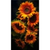 Sunflowers🌻❥☯︎ͫ4🇲🇽Clásica 15