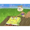 Spongebob v3 Spongbobber 16