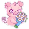 🐽🩷Pig cute 🐷🩷 6