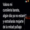 Valora mi
cursilería barata,
algún día ya no estaré
y extrañarás mojarte
de la mitad pabajo