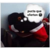 pucta que oferton