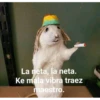 La neta, la neta.
Ke mala vibra traez
maestro.