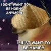 I DONT WANT TO
BE HORNY
ANYMORE
I JUST WANT TO
BE HAMPY