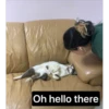 wow 11