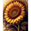 Sunflowers🌻❥☯︎ͫ5🇲🇽Clásica 23