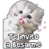 Michis Stickers 8