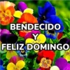 Bendecido, Feliz Día, Saludos 12