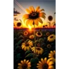 Sunflowers🌻❥☯︎ͫ4🇲🇽Clásica 22