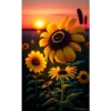 Sunflowers🌻❥☯︎ͫ4🇲🇽Clásica 23
