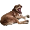 chairs n frens sticker pack 26