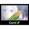Corn!