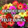 Bendecido, Feliz Día, Saludos 13