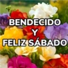Bendecido, Feliz Día, Saludos 15