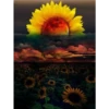 Sunflowers🌻❥☯︎ͫ4🇲🇽Clásica 27