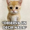Michis Stickers 10