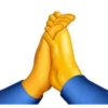 noooo 22