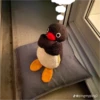 edward pingui 13
