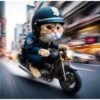 Gatito selfie viajero֍1🇲🇽Clásica 22