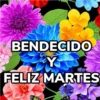 Bendecido, Feliz Día, Saludos 17
