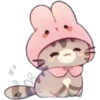 Gatitos❥☯︎ͫ4🇲🇽Clásica 28