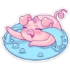 🐽🩷Pig cute 🐷🩷 12