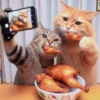 Gatito selfie viajero֍1🇲🇽Clásica 28