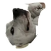 Tuck Moods - Expansion 5
