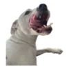 Tuck Moods - Expansion 6