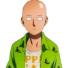 One Punch Man 5