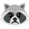 Raccoon 5