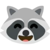 Raccoon 6