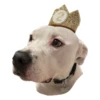 Tuck Moods - Expansion 8