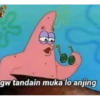gw tandain muka lo anjing