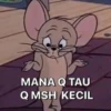 MANA Q TAU
Q MSH KECIL
