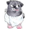 Perritos Pug con para Nath 5