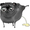 Perritos Pug con para Nath 6