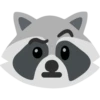 Raccoon 8