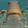 ketikannya lebih di
perhatikan lagi yah kids